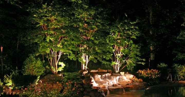 Ilumine seu jardim: dicas práticas para valorizá-lo à noite