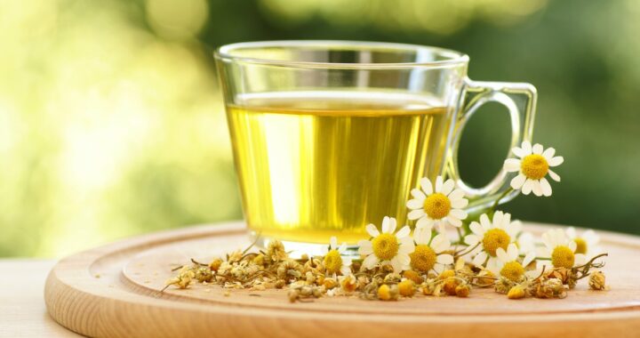 Ervas frescas: prepare chás calmantes direto do seu jardim