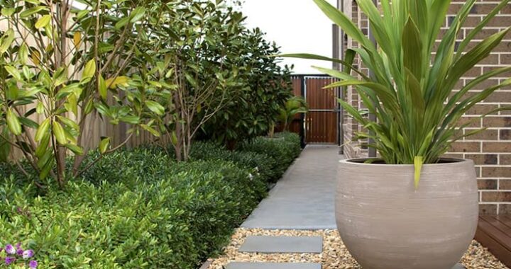 Guia básico: como montar seu primeiro jardim em casa